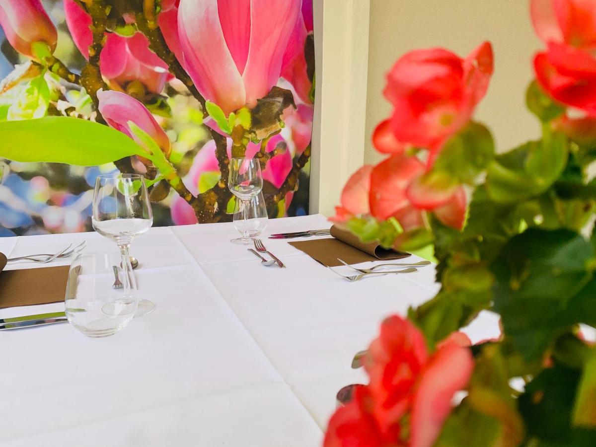 Zu Den Linden - Radebeul Pension Mit Restaurant 외부 사진